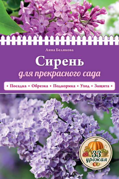 Сирень для прекрасного сада