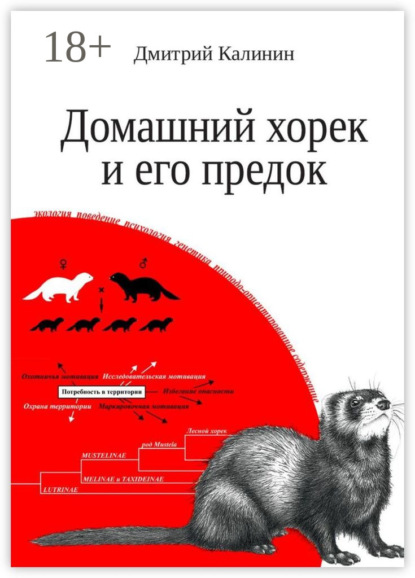 Домашний хорек и его предок