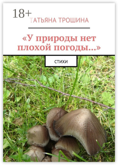 «У природы нет плохой погоды…». Стихи