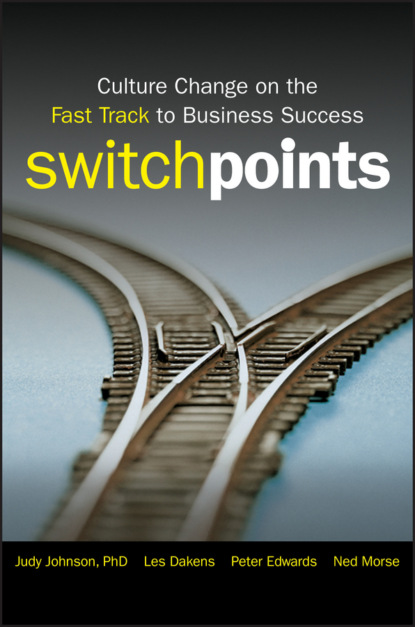 SwitchPoints. Culture Change on the Fast Track to Business Success