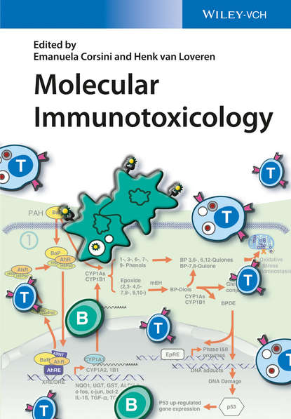Molecular Immunotoxicology
