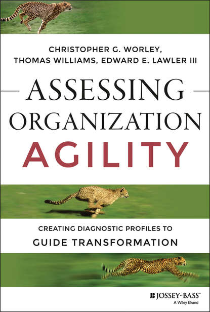 Assessing Organization Agility. Creating Diagnostic Profiles to Guide Transformation