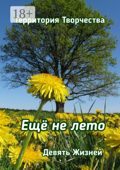 Ещё не лето. Девять Жизней
