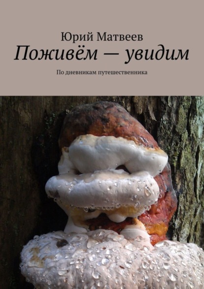 Поживём – увидим. По дневникам путешественника