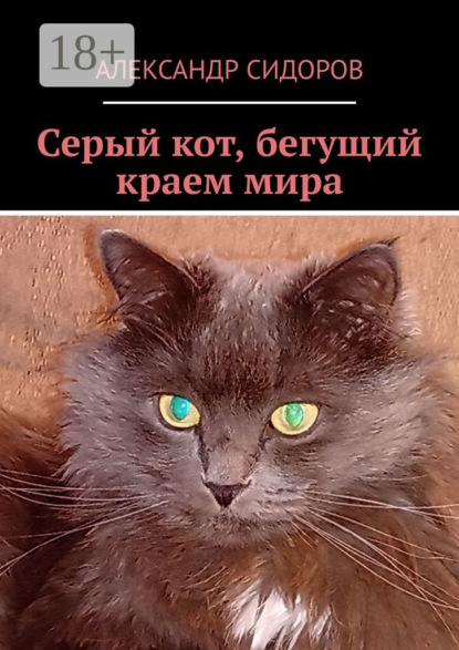 Серый кот, бегущий краем мира