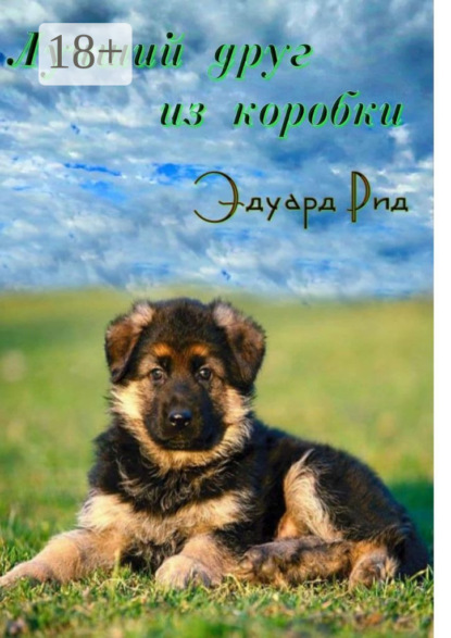 Лучший друг из коробки