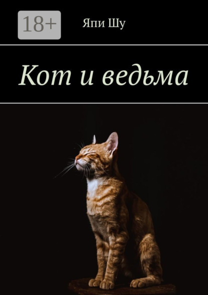 Кот и ведьма