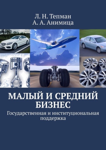 Малый и средний бизнес. Государственная и институциональная поддержка