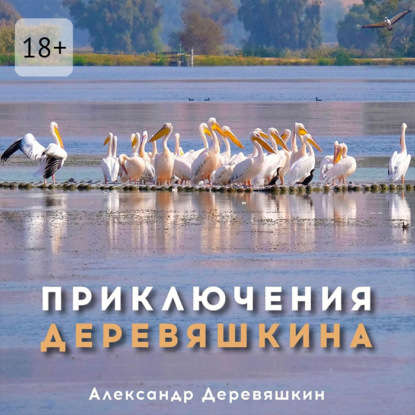 Приключения Деревяшкина