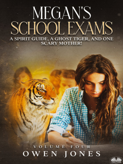 Megan&apos;s School Exams