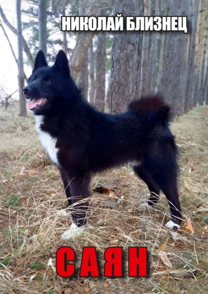 Саян. Повести и рассказы об охоте и природе