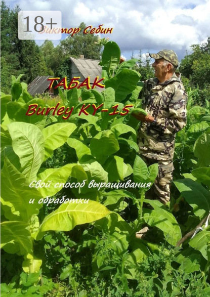 Табак Burley KY-15. Свои особенности выращивания и обработки
