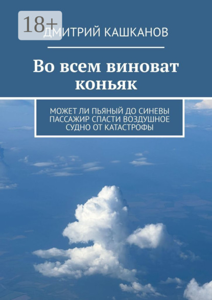 Во всем виноват коньяк. Может ли пьяный до синевы пассажир спасти воздушное судно от катастрофы