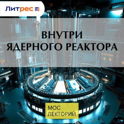 Внутри ядерного реактора