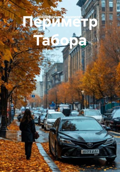 Периметр Табора