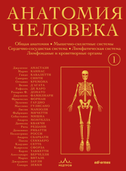 Анатомия человека. Эксклюзивное издание с 50-летней историей. Том 1