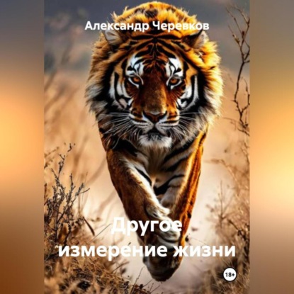 Другое измерение жизни