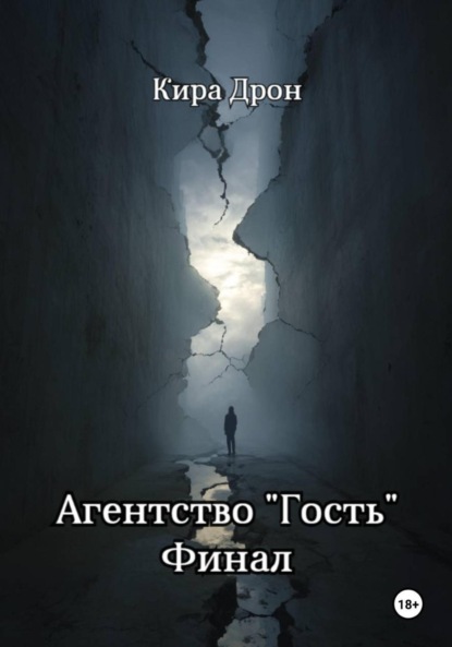 Агентство «Гость». Финал