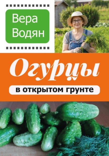 Огурцы в открытом грунте