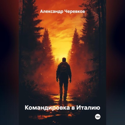 Командировка в Италию