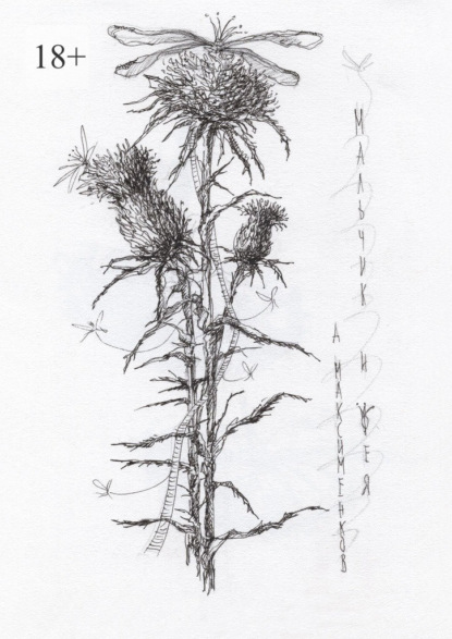 Мальчик и фея