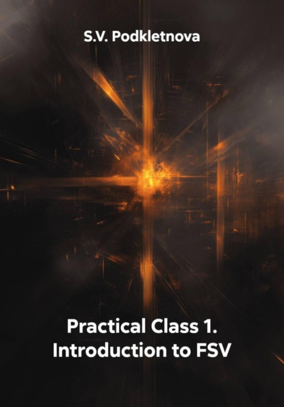 Practical Class 1. Introduction to FSV