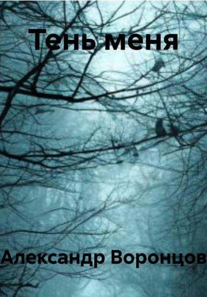 Тень меня