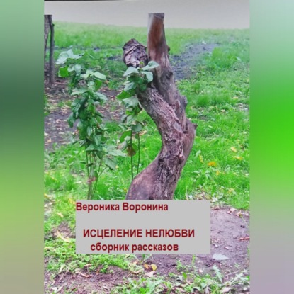 Исцеление нелюбви. Сборник рассказов