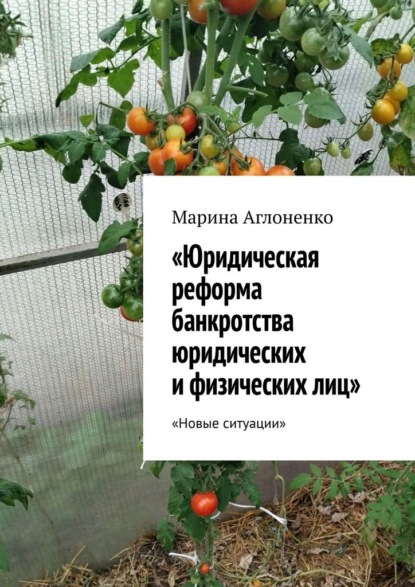 Юридическая реформа банкротства юридических и физических лиц. Новые ситуации