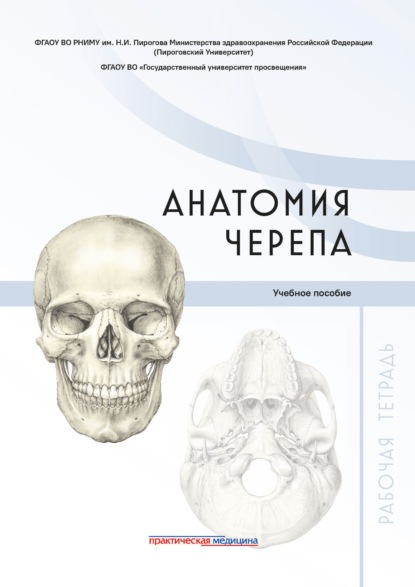 Анатомия черепа. Рабочая тетрадь