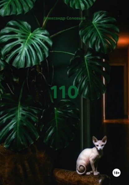110