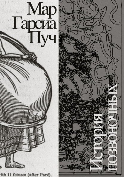 История позвоночных