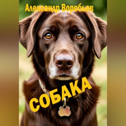 Собака