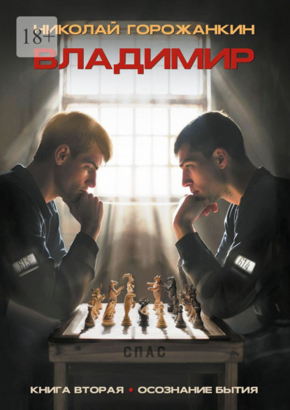 Владимир. Книга вторая. Осознание бытия