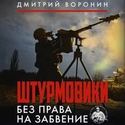 Штурмовики. Без права на забвение