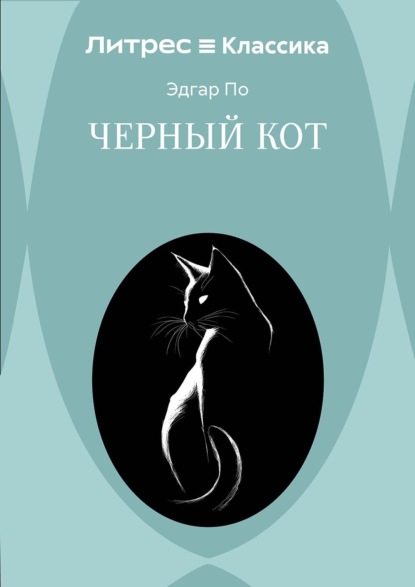 Черный кот