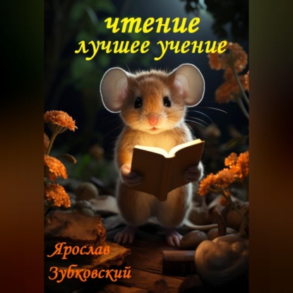 Чтение лучшее учение