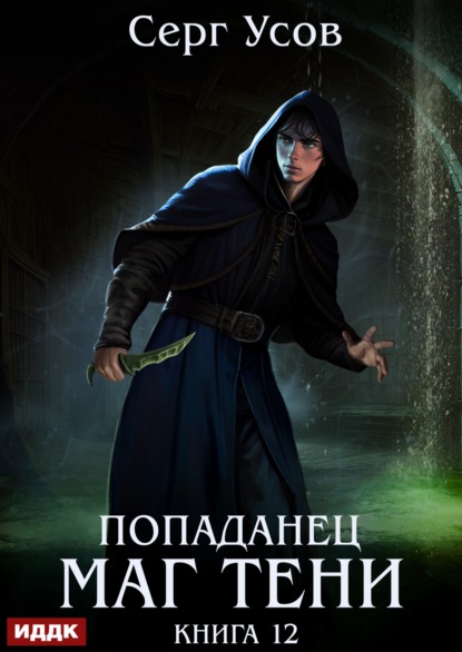 Попаданец. Маг Тени. Книга 12