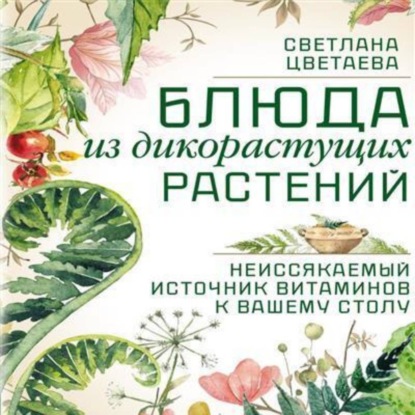 Блюда из дикорастущих растений. Неиссякаемый источник витаминов к вашему столу