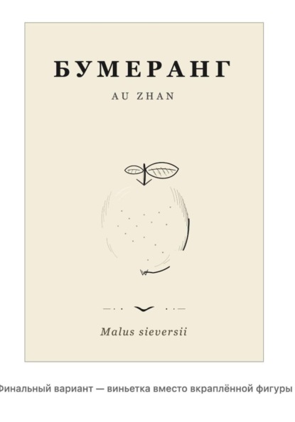 Бумеранг