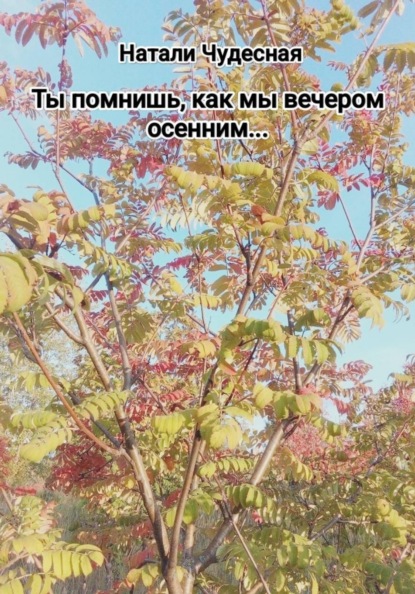 Ты помнишь, как мы вечером осенним...