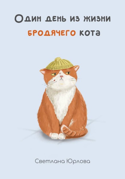Один день из жизни бродячего кота