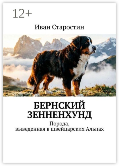 Бернский зенненхунд. Порода, выведенная в швейцарских Альпах