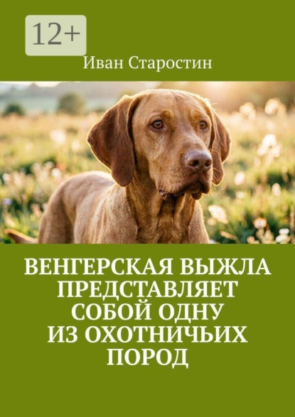 Венгерская выжла представляет собой одну из охотничьих пород