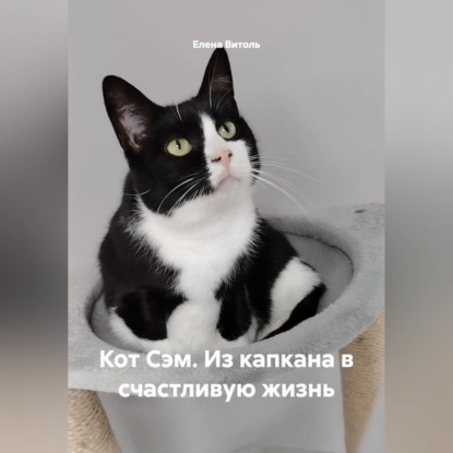 Кот Сэм: Из капкана в счастливую жизнь