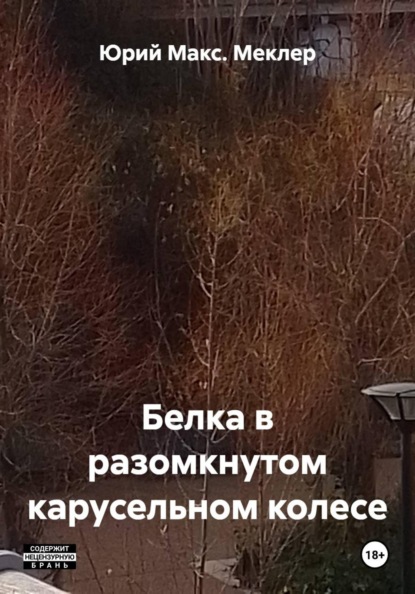 Белка в разомкнутом карусельном колесе