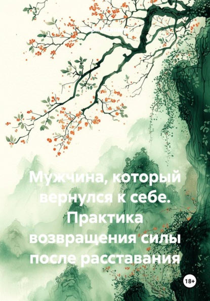 Мужчина, который вернулся к себе. Практика возвращения силы после расставания