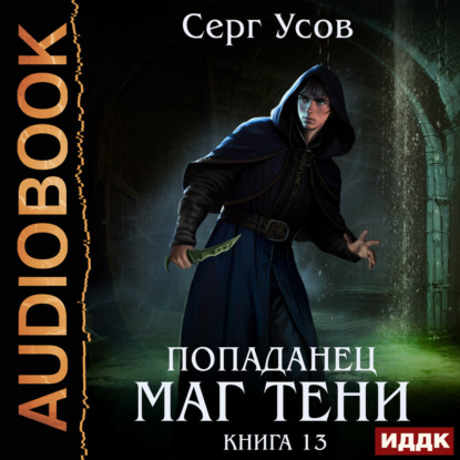 Попаданец. Маг Тени. Книга 13