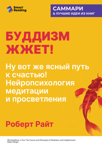 Буддизм жжет! Ну вот же ясный путь к счастью! Нейропсихология медитации и просветления. Роберт Райт. Саммари