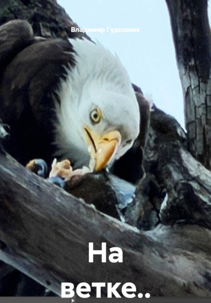 На ветке..